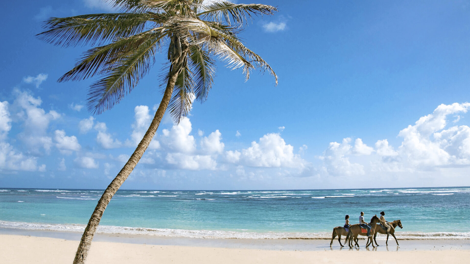 Barbados image 1